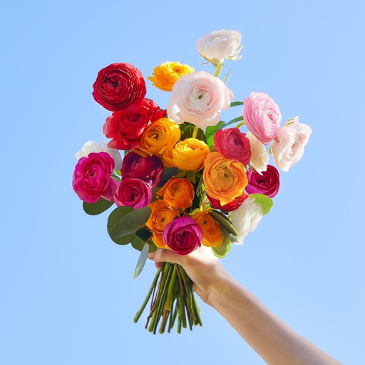 Bouqs Flowers Review