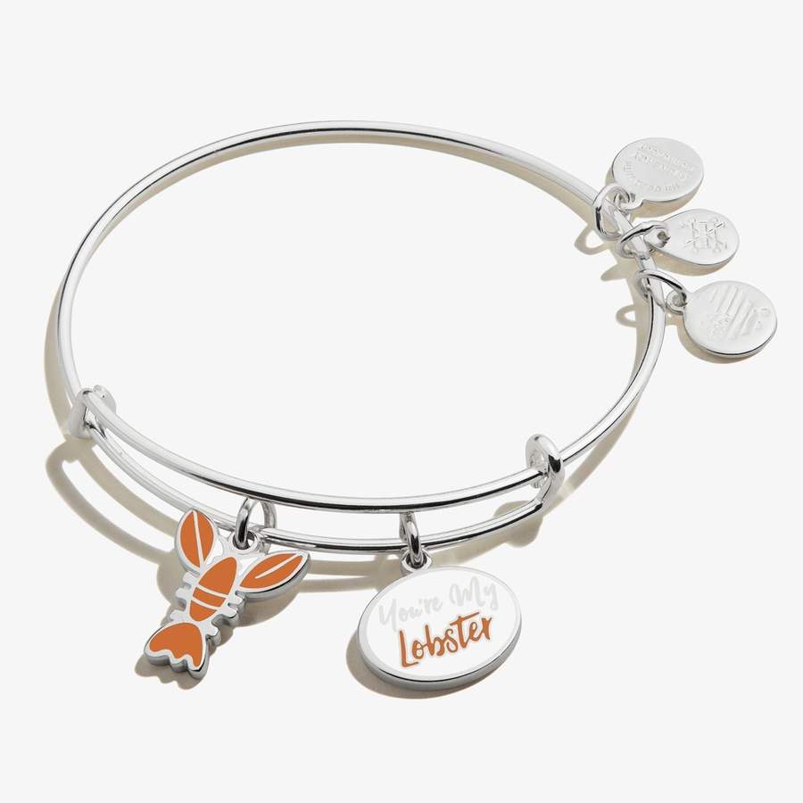 Alex and Ani Jewelry Review