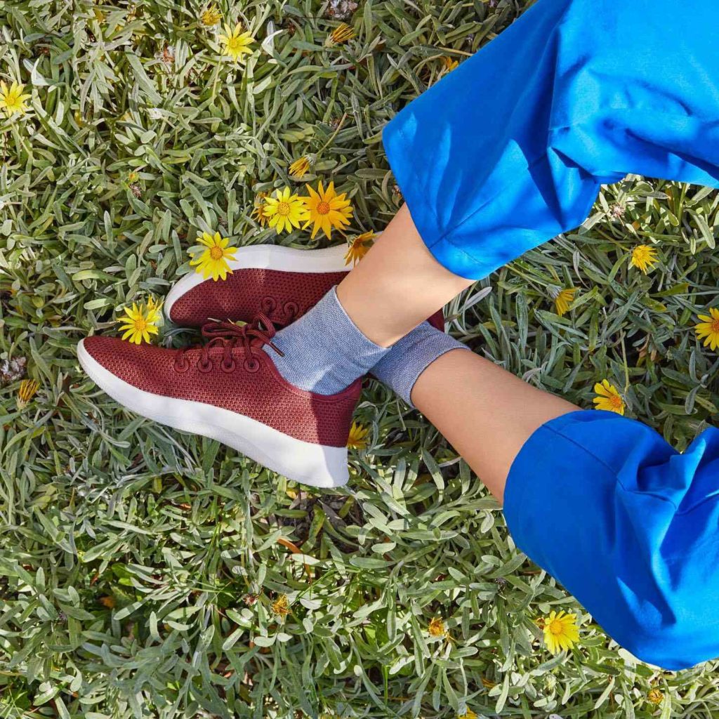 Allbirds Shoes Review