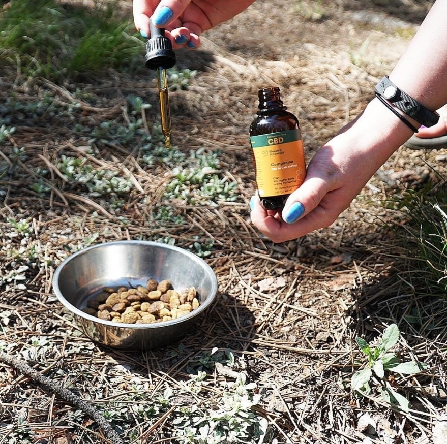 Are Bluebird Botanicals Worth It?