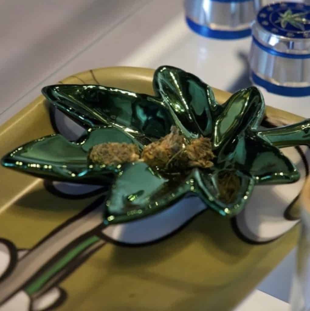 Dr Strains CBD Review