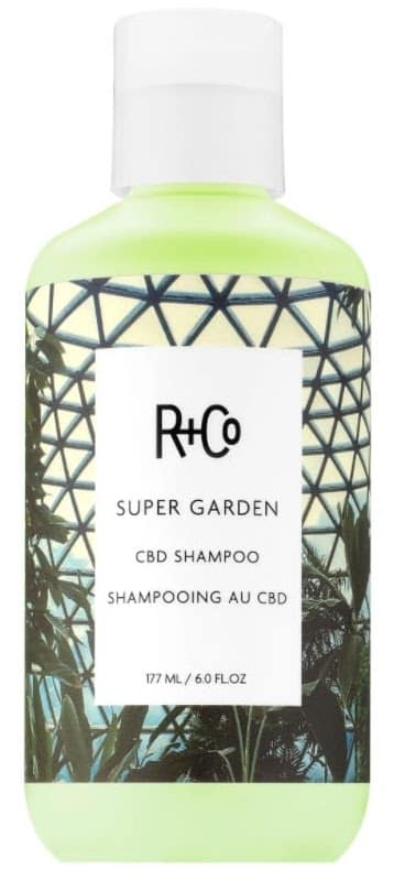 R+Co Hair Products Review