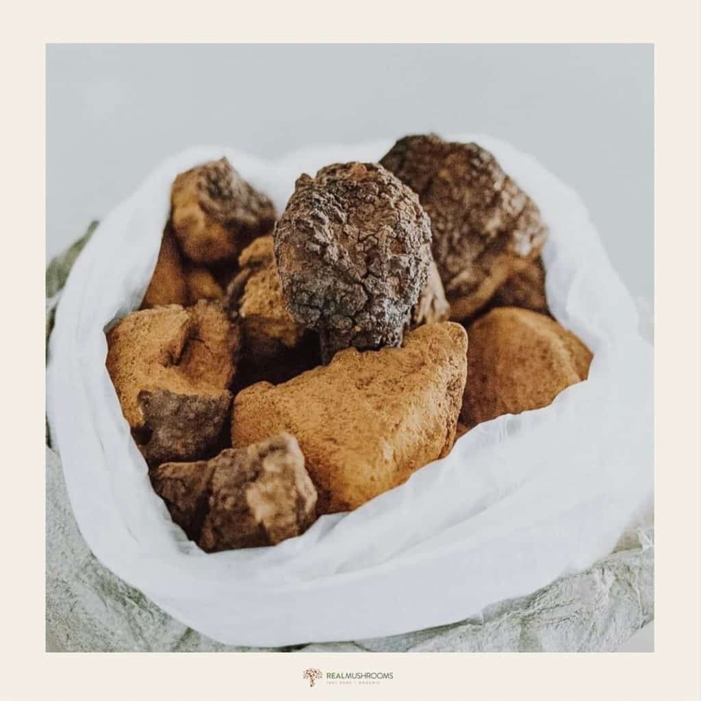Real Mushrooms Review