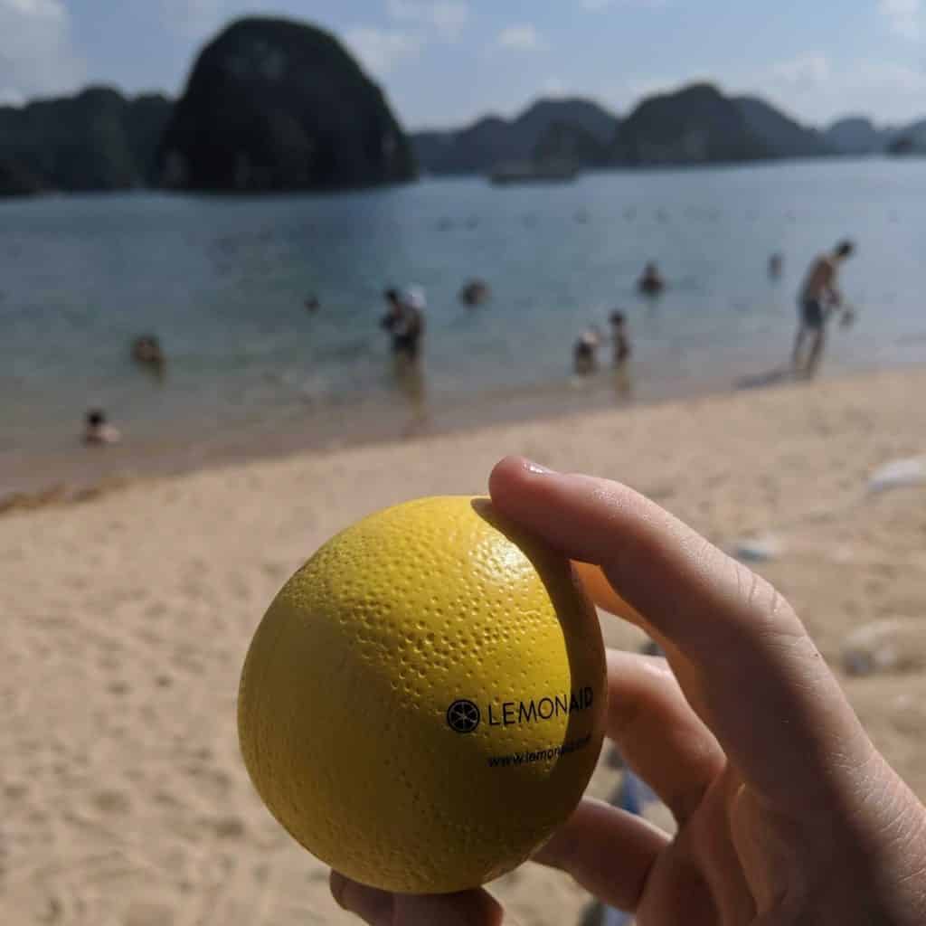 Lemonaid Health Review