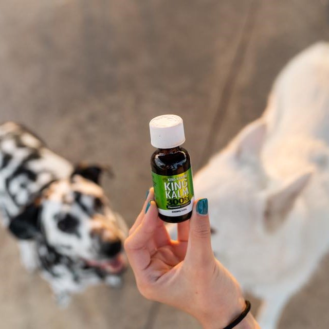 King Kanine CBD Review 