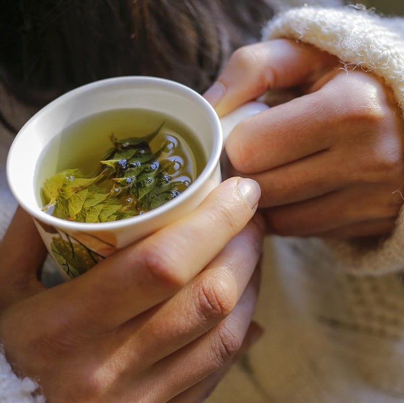 14 Best Tea Brands 18 13 Best Tea Brands