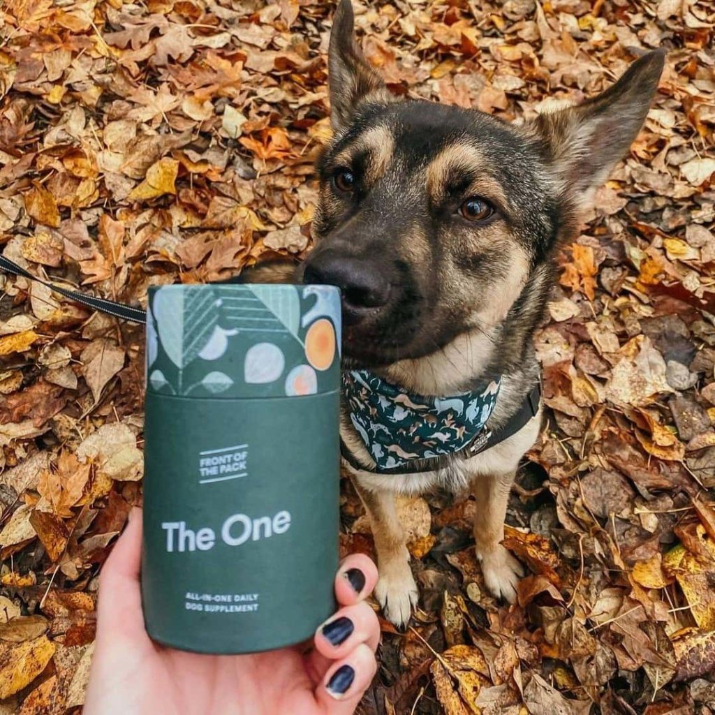 Front of the Pack Review