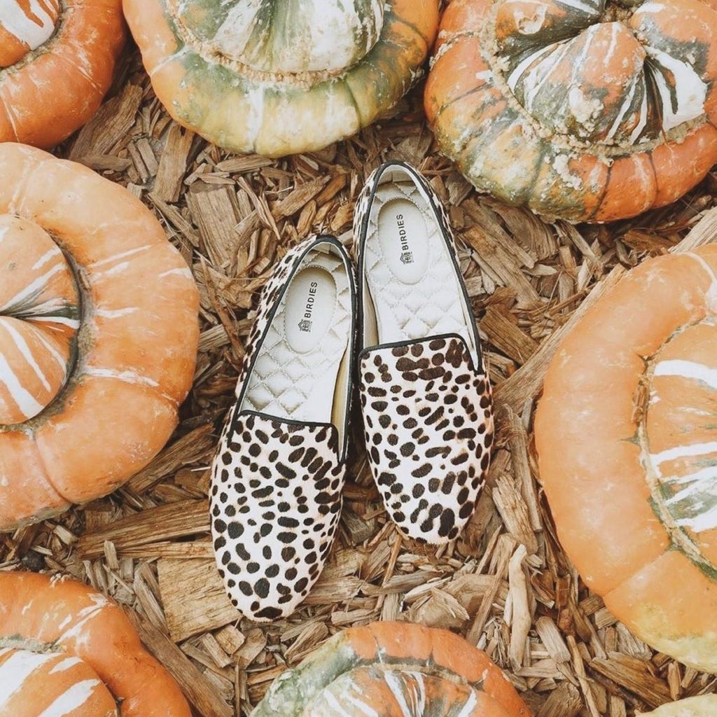 Rothys vs Birdies Shoes Review