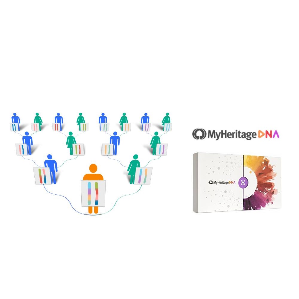 MyHeritage Family Tree Review