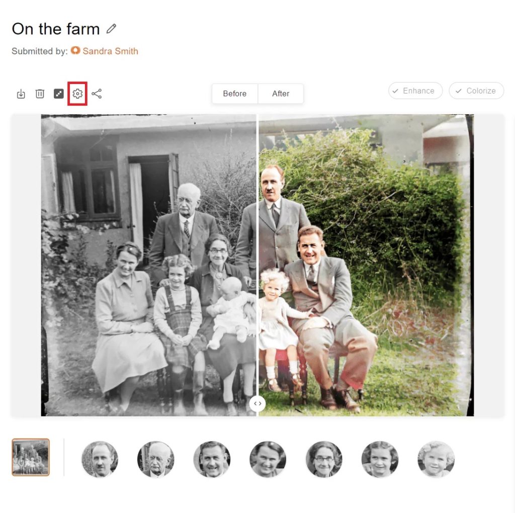 MyHeritage Incolor Review