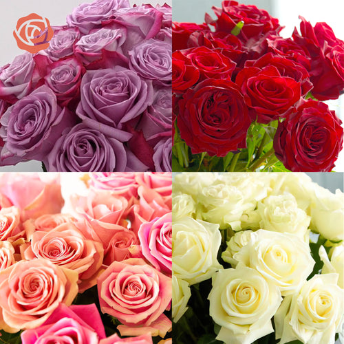 Rose Farmers Monthly Flowers Roses Subscription Review