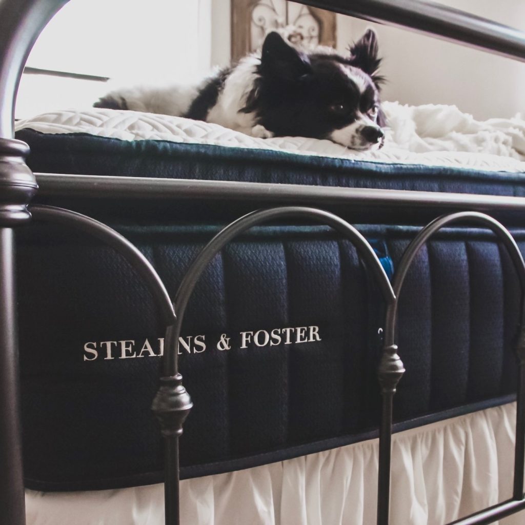 Stearns and Foster Review