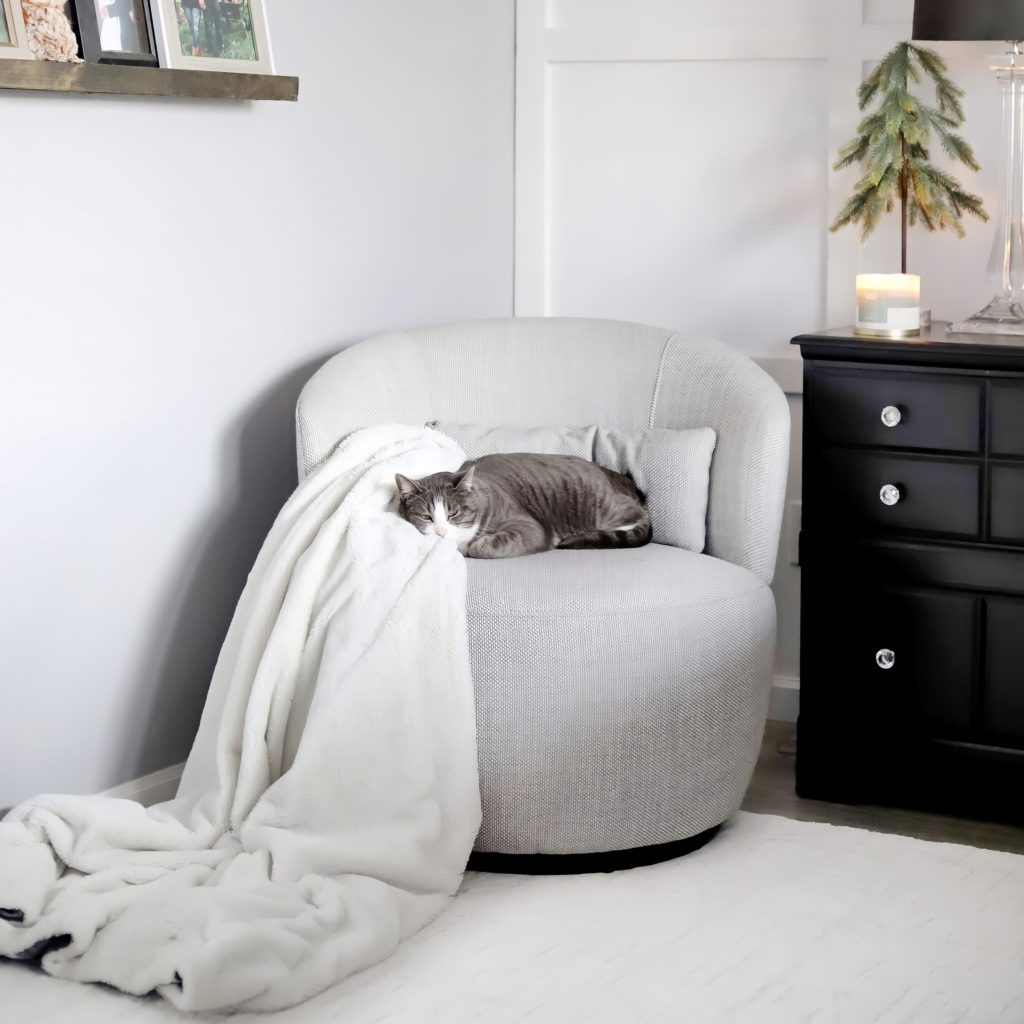 Castlery Furniture Review
