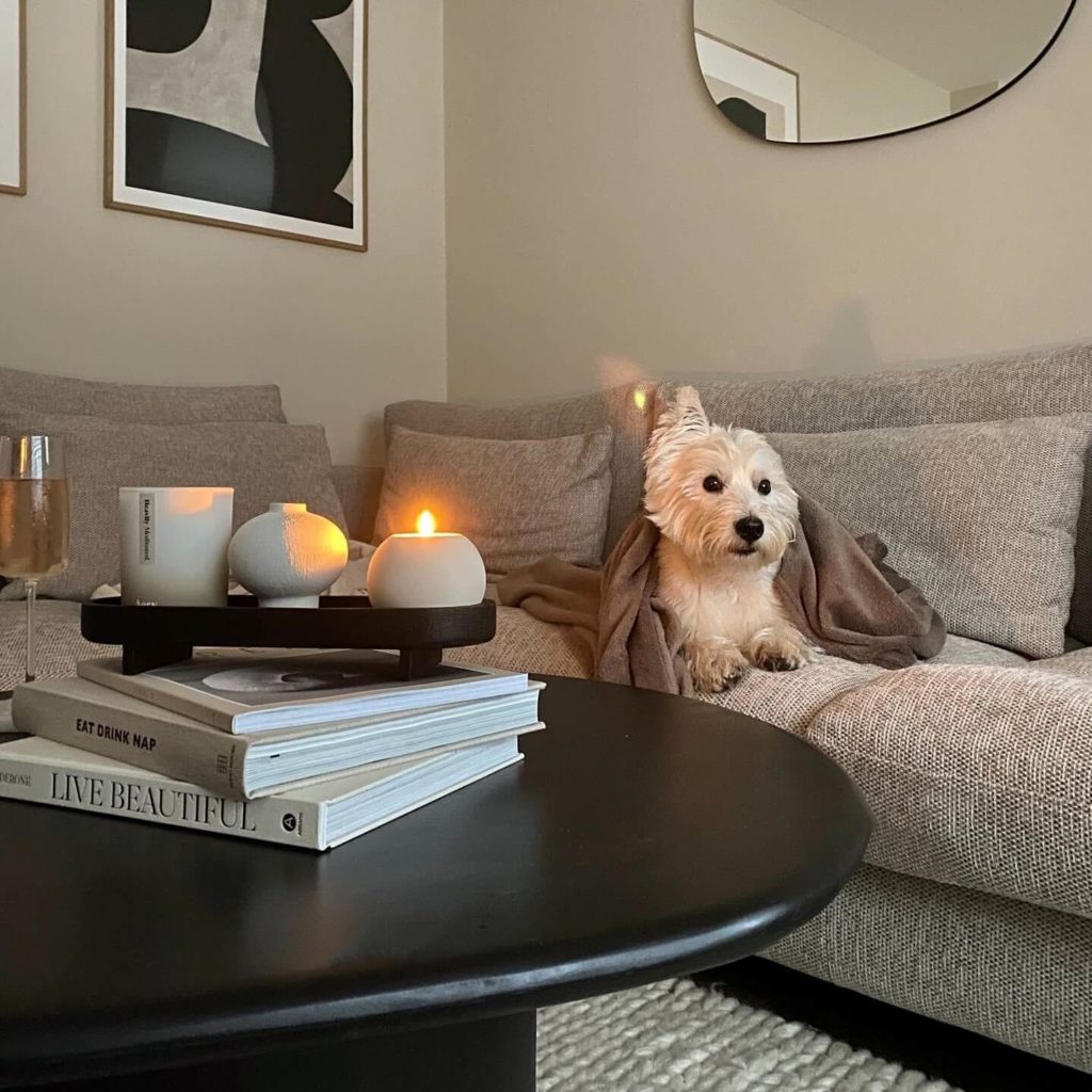 Dwell Furniture Review