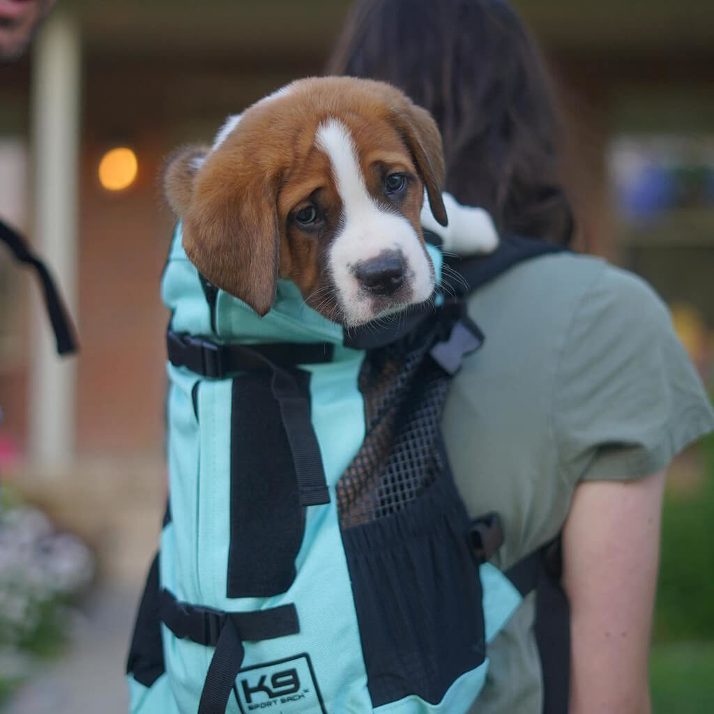 K9 Sport Sack Review 12