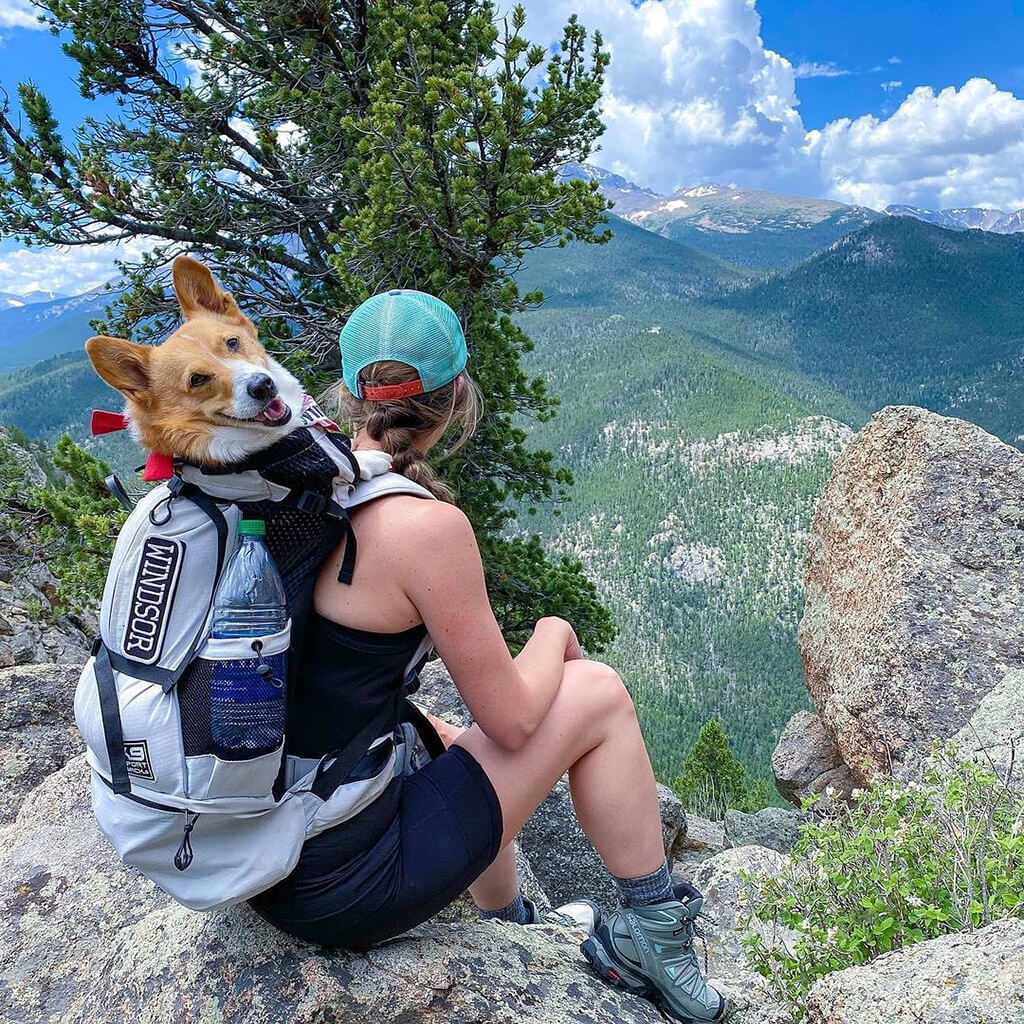K9 Sport Sack Review 13