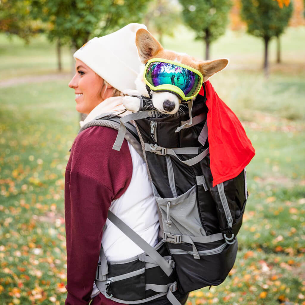 K9 Sport Sack Review 15