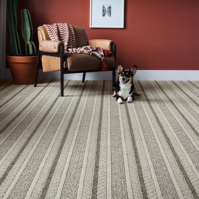 Best Carpet Brands