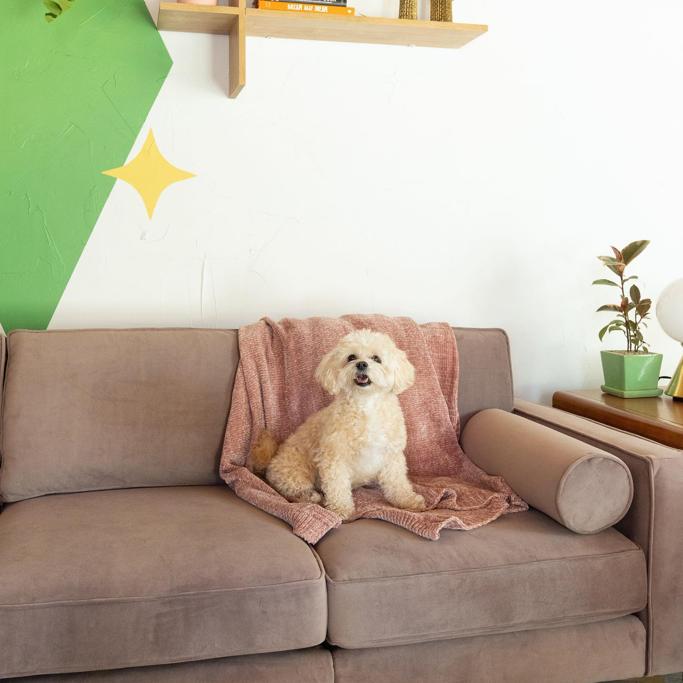 Lovesac vs Burrow Review