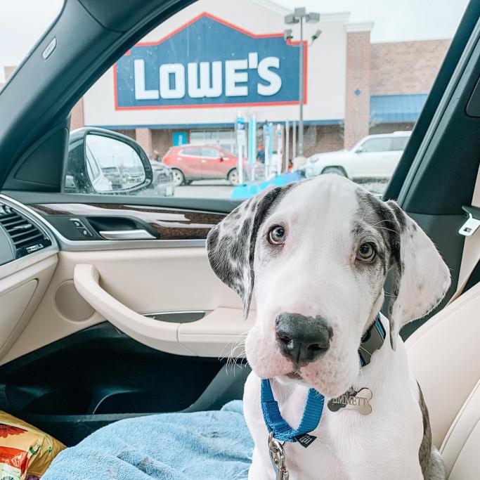 Lowes vs Home Depot Review 