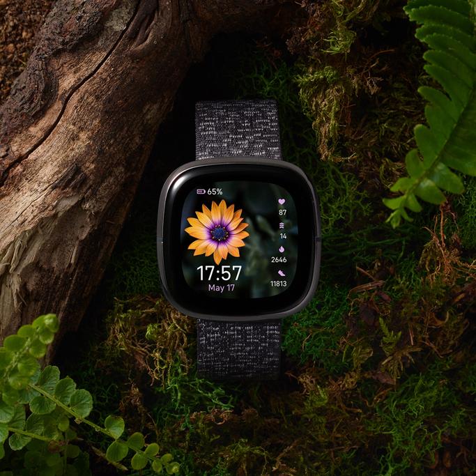 WHOOP vs Fitbit Review
