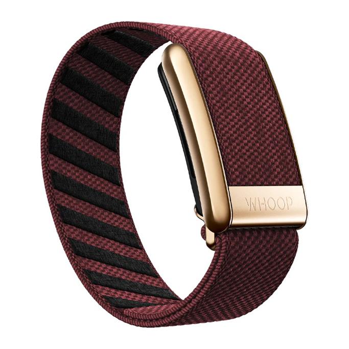 WHOOP vs Fitbit Review 8 WHOOP vs Fitbit Review