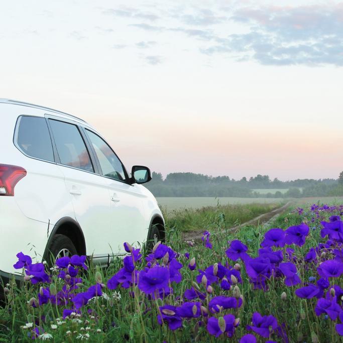 Olive Car Warranty Review 