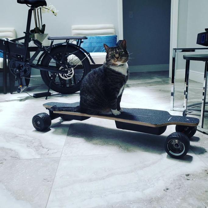 Possway Electric Skateboards