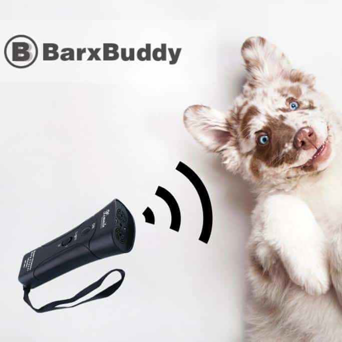 BarxBuddy Review