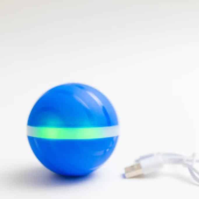 BarxBuddy Review