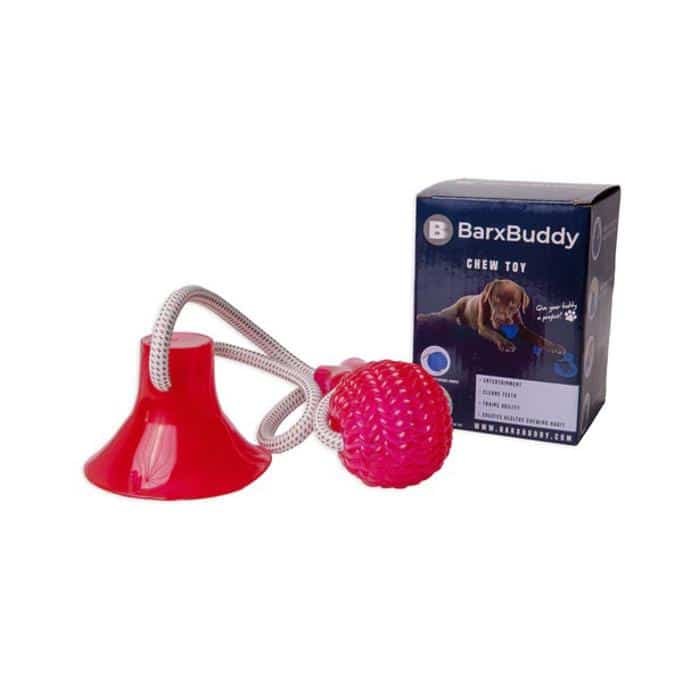 BarxBuddy Review