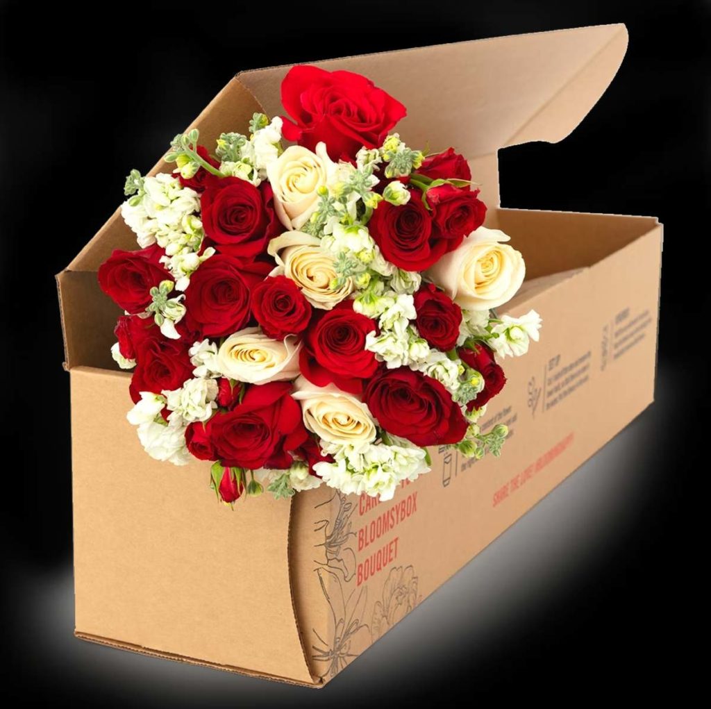 BloomsyBox Flowers Review 15 BloomsyBox Pet-Safe Blooms Review
