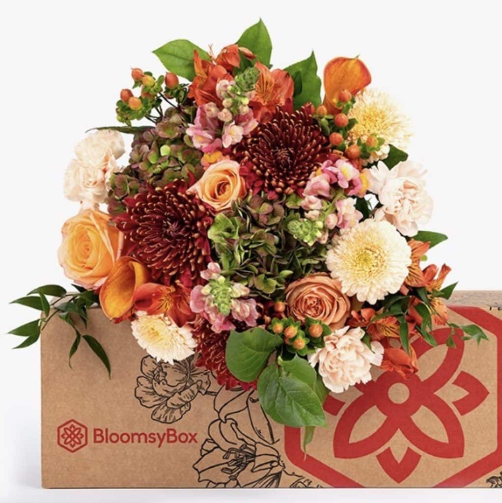 BloomsyBox Flowers Review 2 BloomsyBox Flowers Review