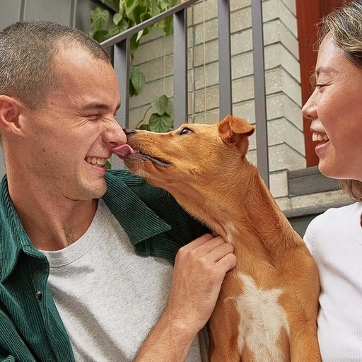 10 Best Human-Grade Dog Food Brands 15 Best Human-Grade Dog Food Brands