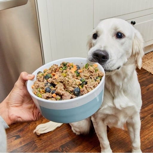 10 Best Human-Grade Dog Food Brands 16 Best Human-Grade Dog Food Brands