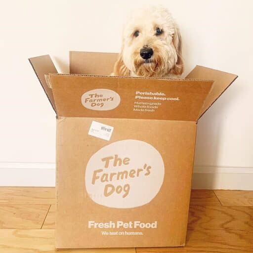 10 Best Human-Grade Dog Food Brands 18 Best Human-Grade Dog Food Brands