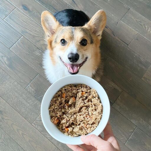 10 Best Human-Grade Dog Food Brands 19 Best Human-Grade Dog Food Brands