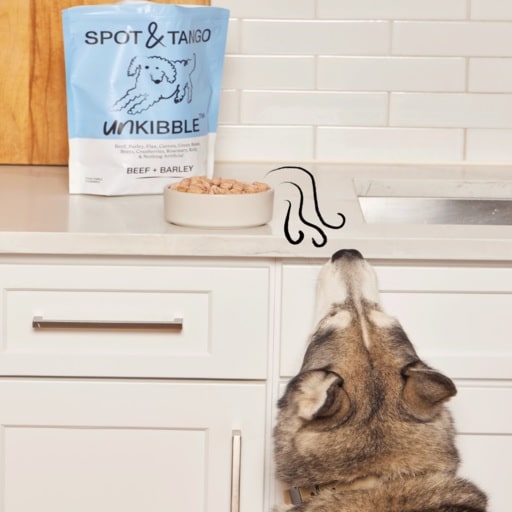 Spot and Tango Dog Food Review