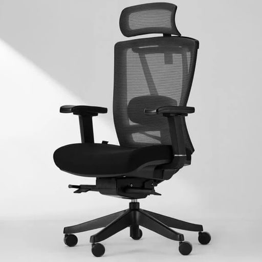 Autonomous ErgoChair Pro Review