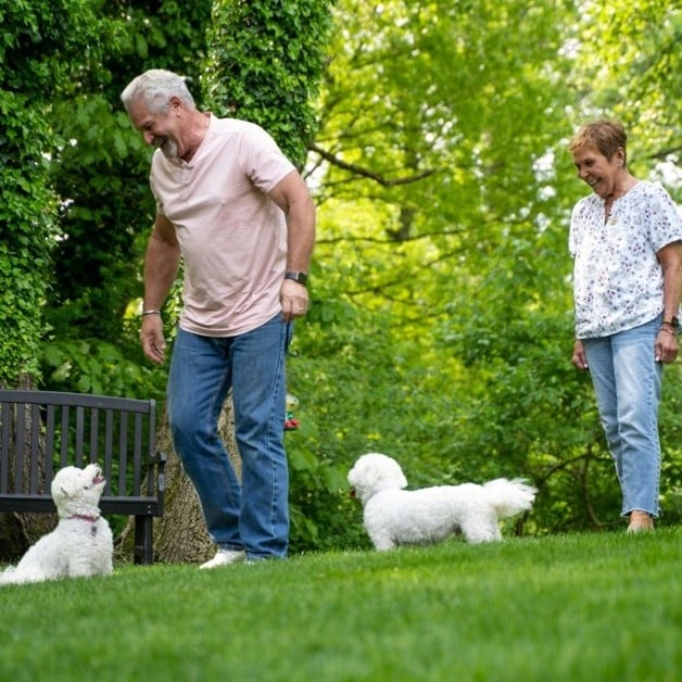 Green Lawn Fertilizing Review