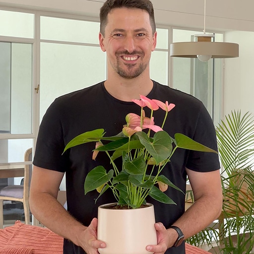 Easy Plant