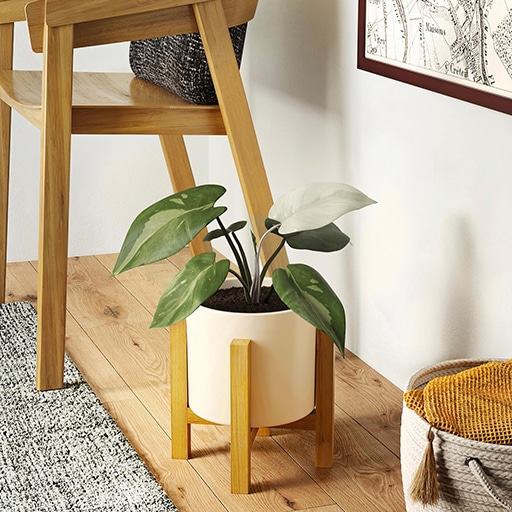 Easy Plant