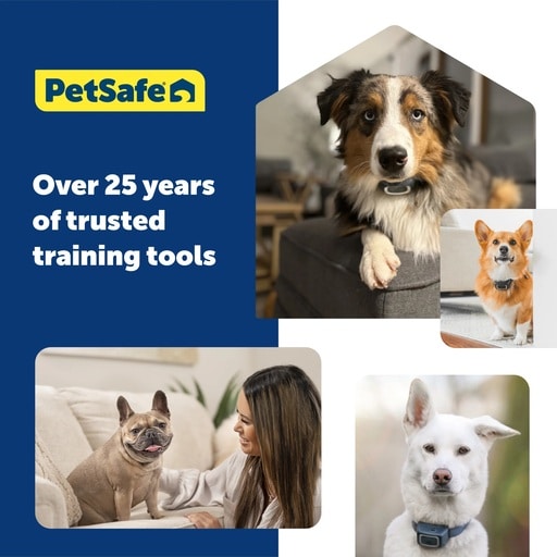 PetSafe® NanoBark™ Collar Review