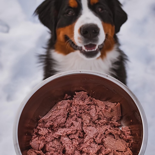 We Feed Raw Review: Pros, Cons, and Everything You Need to Know 4