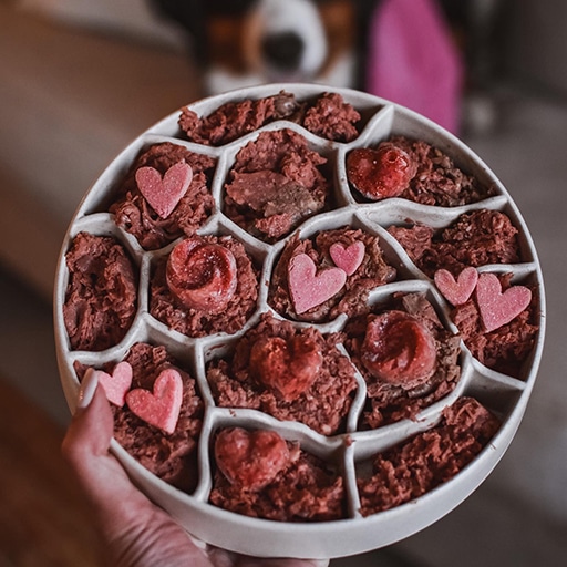 We Feed Raw Review: Pros, Cons, and Everything You Need to Know 8