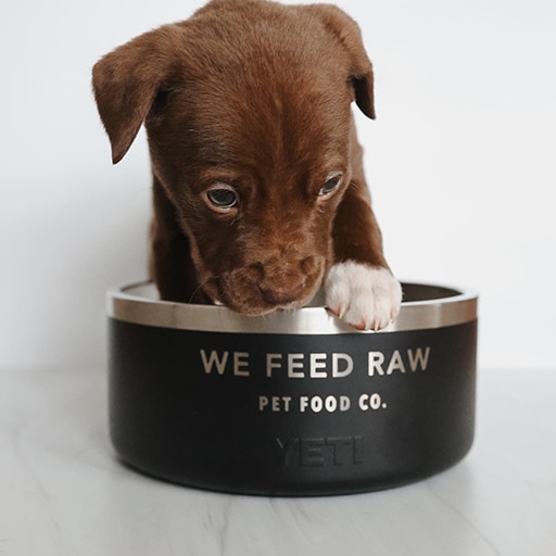 We Feed Raw Review: Pros, Cons, and Everything You Need to Know 9