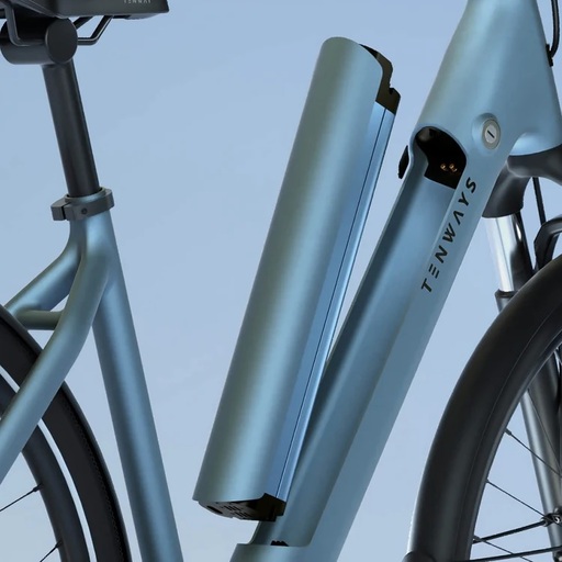 Tenways CGO800S E-Bike Review