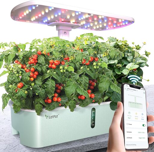 LetPot LPH-Air Hydroponic System Review: This Tiny Gadget Can Turn Your Apartment into a Salad Bar