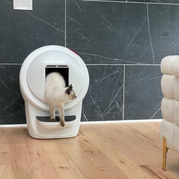 Litter Robot vs Neakasa: Which One Should You Choose in 2025?