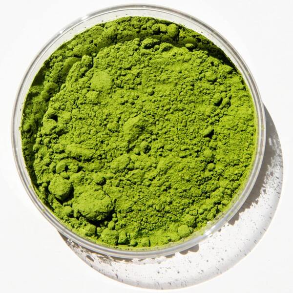 Pique Sun Goddess Matcha Review: A Matcha Made in Wellness Heaven?